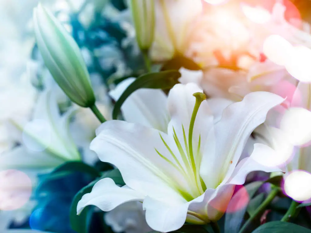 Order Form To Deliver Flowers | Eternally Loved