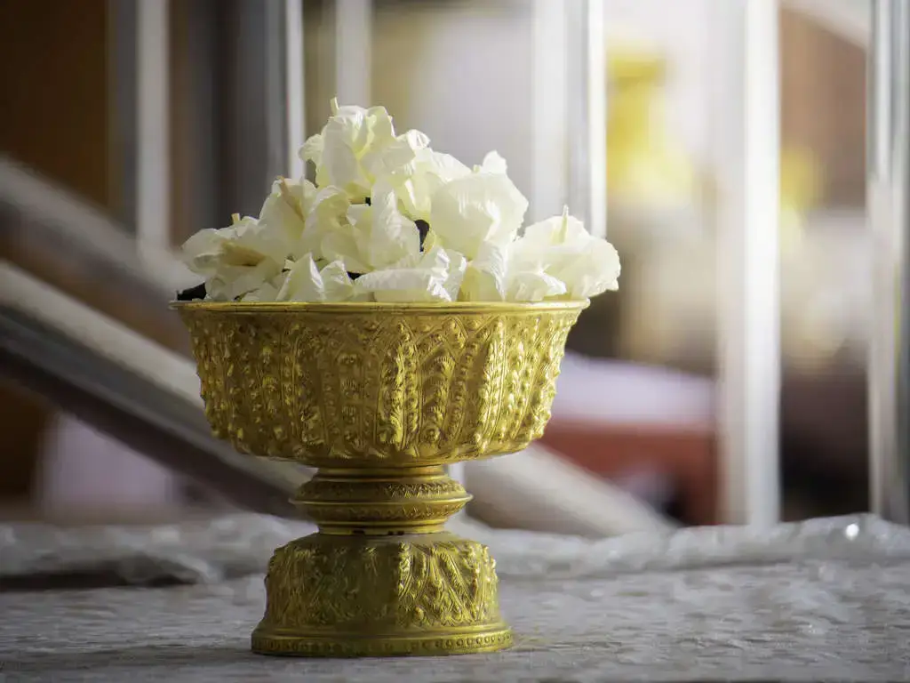 Burial Alternatives | Eternally Loved