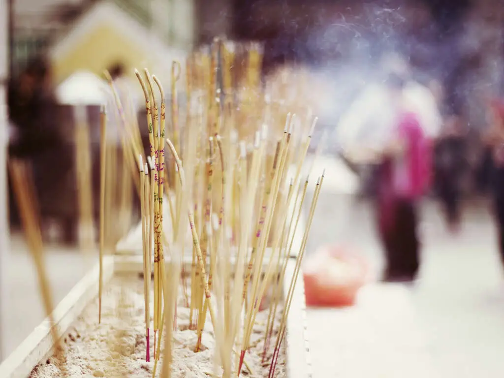 Cremation Alternatives | Eternally Loved