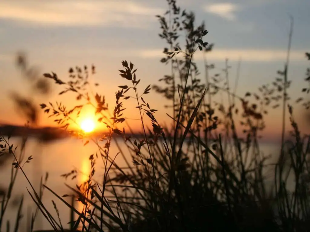 Warm Summer Sun | Eternally Loved