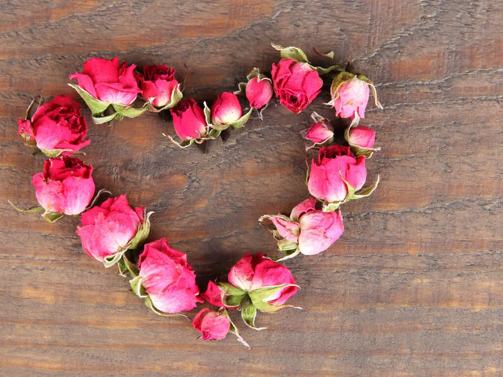 First Death Anniversary | Eternally Loved