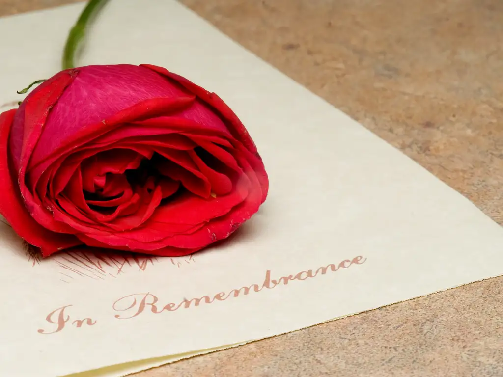 Celebration Of Life Vs Traditional Funeral Service San Diego | Eternally Loved