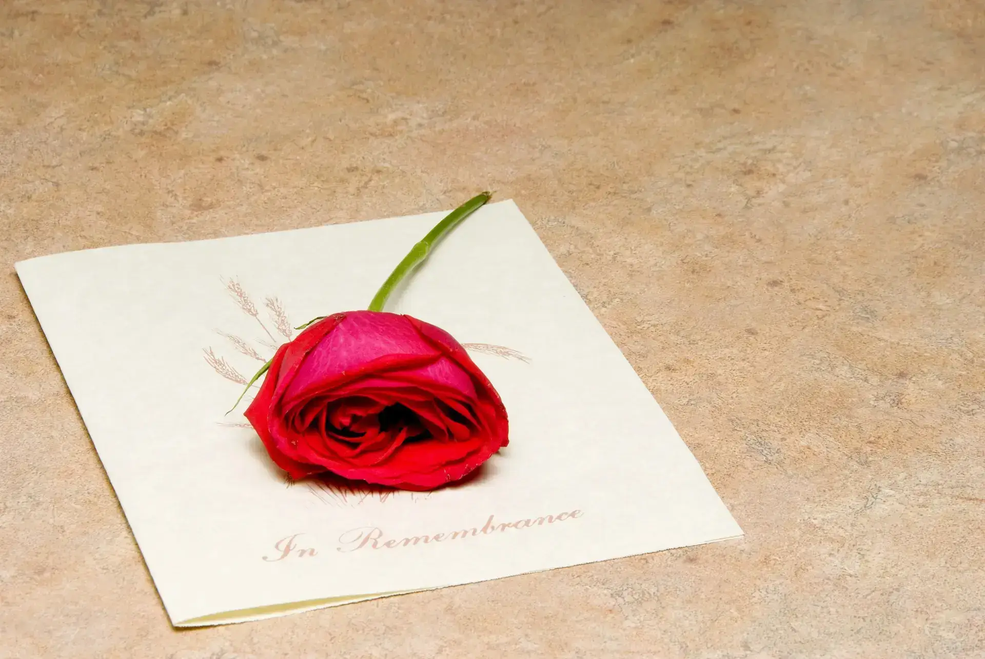 Designing a Celebration of Life Pamphlet | Eternally Loved